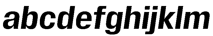Insitu BoldItalic FONT