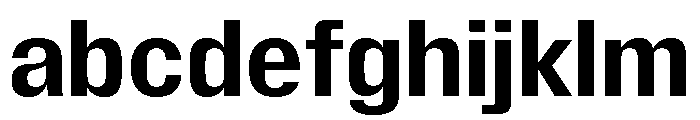 Insitu Bold FONT