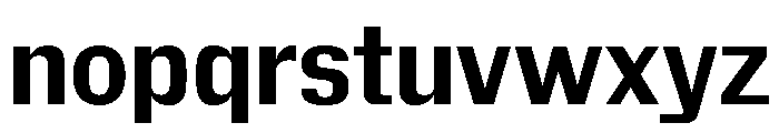 Insitu Bold Font LOWERCASE