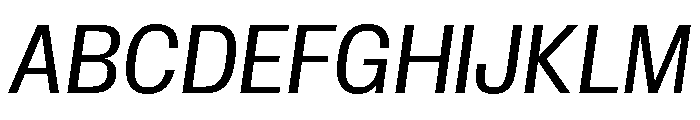 Insitu Italic Font UPPERCASE