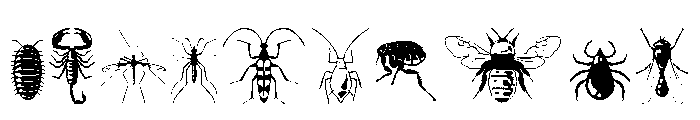 Insectile Regular Font OTHER CHARS