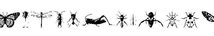 Insectile Regular Font UPPERCASE