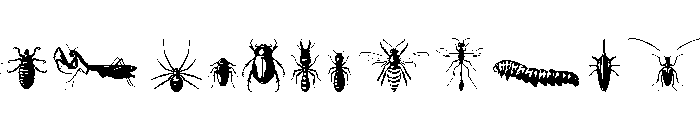 Insectile Regular Font UPPERCASE