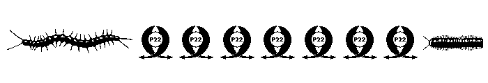 Insectile Regular FONT