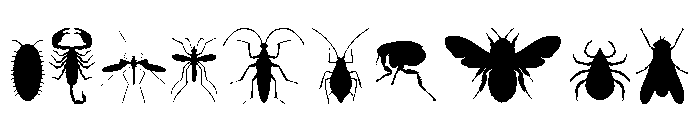 Insectile Solid Font OTHER CHARS