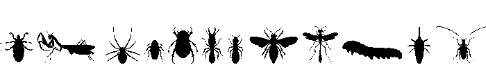 Insectile Solid Font UPPERCASE