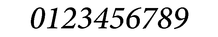 Iowan Old Style Medium Italic Font OTHER CHARS