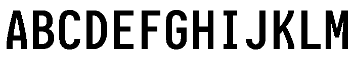Iosevka Charon Mono 700 Font UPPERCASE