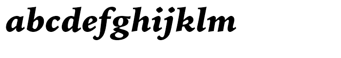 Iowan Old Style BT Black Italic Font LOWERCASE