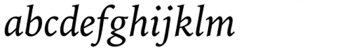 Iowan Old Style Pro Italic Font LOWERCASE