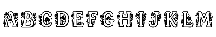 Iqra Regular FONT