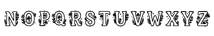 Iqra Regular Font LOWERCASE