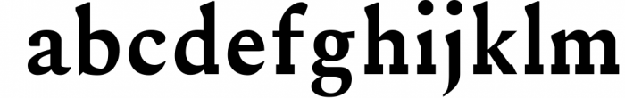 Ireene Serif 3 Font Family Pack 2 Font LOWERCASE