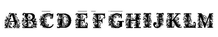 Isa Regular FONT