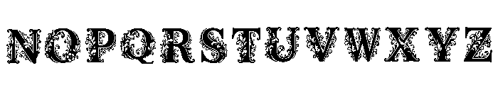 Isa Regular Font LOWERCASE