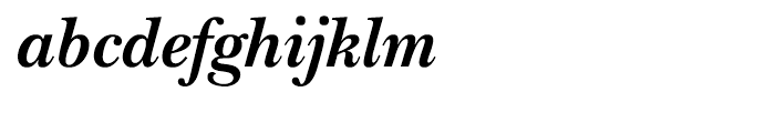 ITC New Baskerville Bold Italic Font LOWERCASE