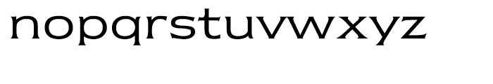 ITC Newtext Book Font LOWERCASE
