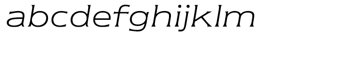 ITC Newtext Light Italic Font LOWERCASE