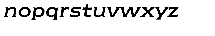 ITC Newtext Regular Italic Font LOWERCASE