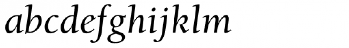 ITC Berkeley Old Style Medium Italic Font LOWERCASE