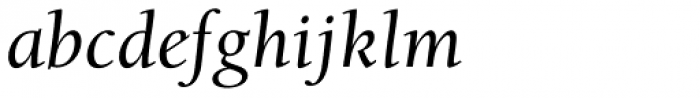 ITC Berkeley Old Style Pro Medium Italic Font LOWERCASE