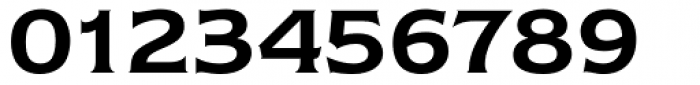 ITC Newtext Demi Font OTHER CHARS