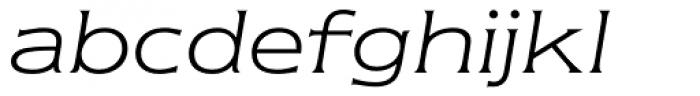 ITC Newtext Light Italic Font LOWERCASE