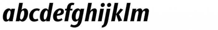 ITC Stone Sans II Com Condensed Bold Italic Font LOWERCASE
