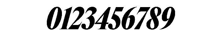 Items CondensedBlackItalic Font OTHER CHARS