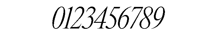 Items CondensedLightItalic Font OTHER CHARS