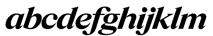 Items WideBoldItalic FONT