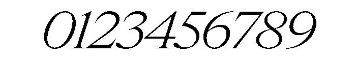 Items WideLightItalic Font OTHER CHARS