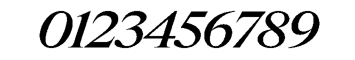 Items WideMediumItalic Font OTHER CHARS