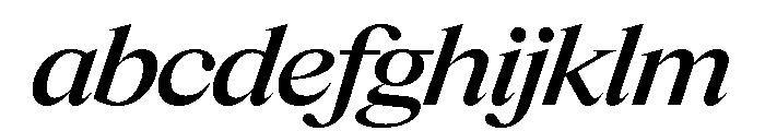 Items WideMediumItalic FONT