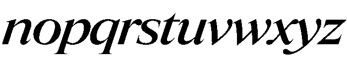 Items WideMediumItalic Font LOWERCASE