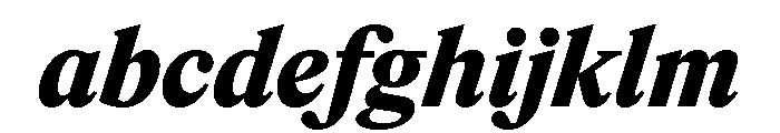 ItemsText BlackItalic FONT