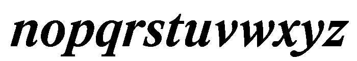 ItemsText BoldItalic Font LOWERCASE