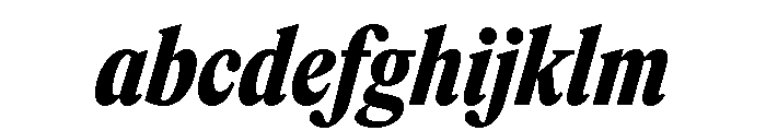 ItemsText CondensedBlackItalic FONT