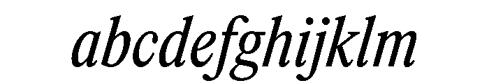 ItemsText CondensedBookItalic FONT