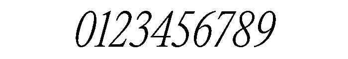 ItemsText CondensedLightItalic Font OTHER CHARS