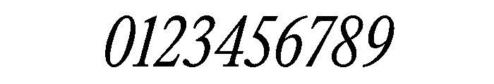 ItemsText CondensedRegularItalic Font OTHER CHARS