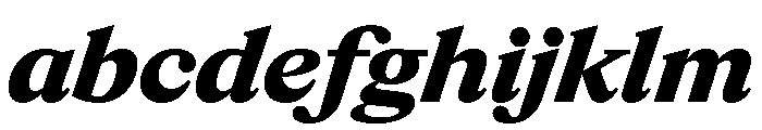 ItemsText WideBlackItalic FONT