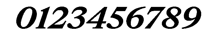 ItemsText WideBoldItalic Font OTHER CHARS
