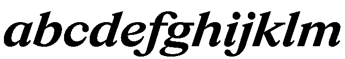 ItemsText WideBoldItalic FONT