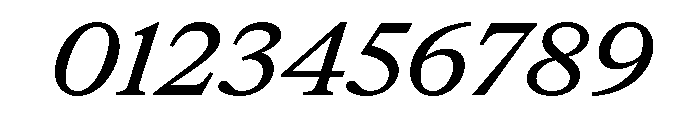 ItemsText WideBookItalic Font OTHER CHARS