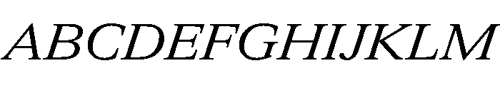 ItemsText WideRegularItalic Font UPPERCASE