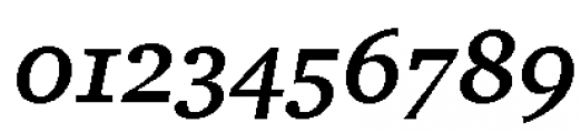 ITC Charter Bold Italic OSF Font OTHER CHARS