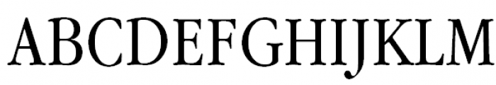 ITC Garamond Narrow Book Font UPPERCASE