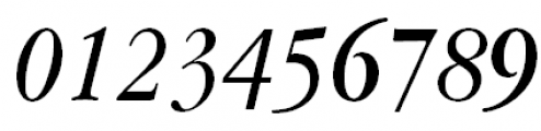 ITC Garamond Narrow Italic Font OTHER CHARS