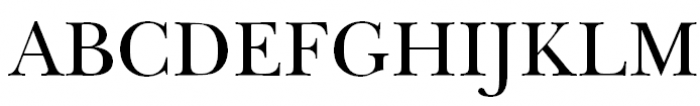 ITC New Baskerville Book Font UPPERCASE